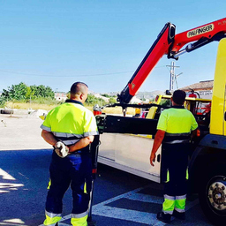 Gruas Pana