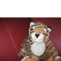 Kurti Tiger