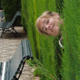 Felicitas Frost