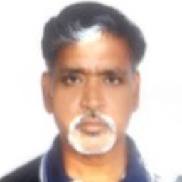 TAMILARASAN ELANGOVAN