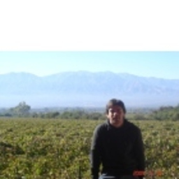 Mariano Castro Antel