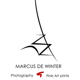 Marcus de Winter