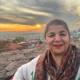 Emine Gülsu Şimşek