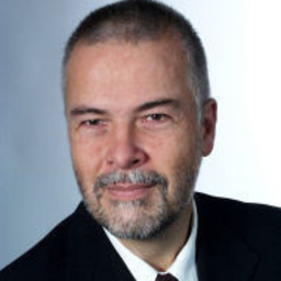 Dipl.-Ing. Roman Meier