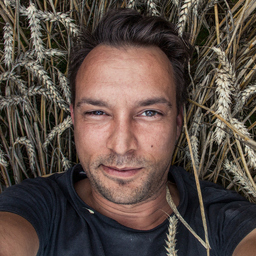 Swen Brandt
