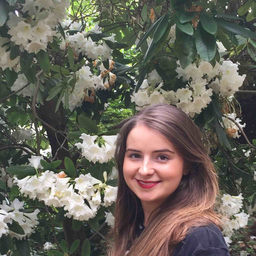 Chiara Keating's profile picture