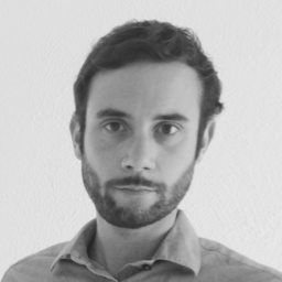 Raphael Wicki