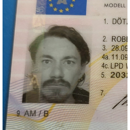 Robert Dötzl