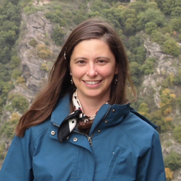 Birgit Wessels