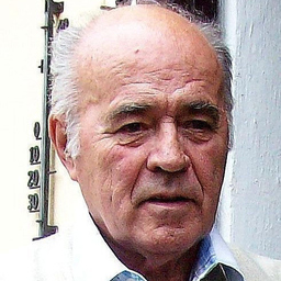 Lothar Dr.-Ing. Rauer