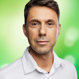 Ing. Mario Menicocci