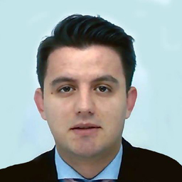 Besmir Jemini