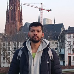 Muhammad Farukh Naseem