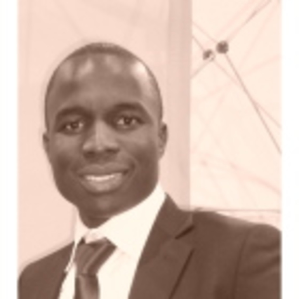 duplex-kamgang-credit-analyst-zurich-financial-services-xing