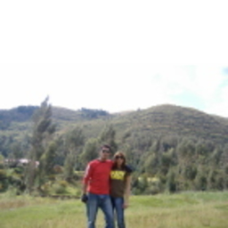 Luis Freyre