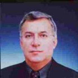 Ziya Bulent Koyunpinar