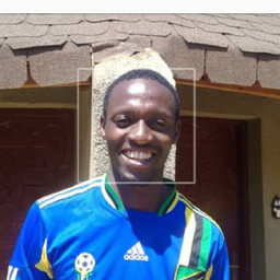 Dipl.-Ing. Mseli Kibinga Mbwambo