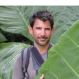 Alexander Baechmann