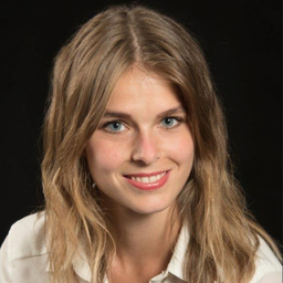 Kim Schöllhammer's profile picture