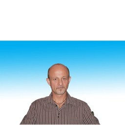 Zoran Andjelkovic