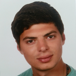 Ing. Serghei Nesmeianov