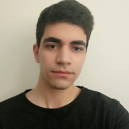 Amir H. Jabari