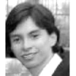 luis salcedo
