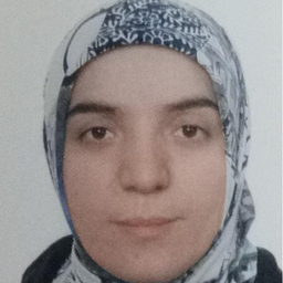 zy celik