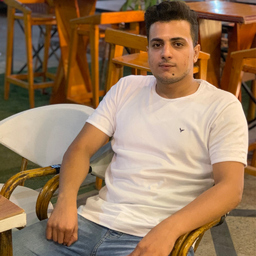 Ahmed L Shnawy