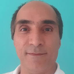 Hamid Fard