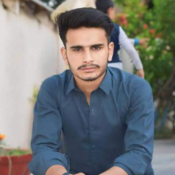 Waleed Waleed