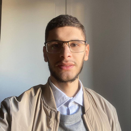 Salah eddine Salhi