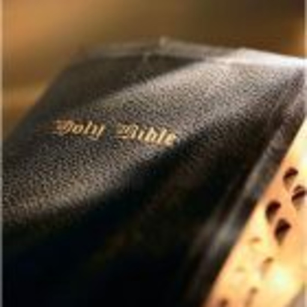 Ann Smith researcher NLT XING