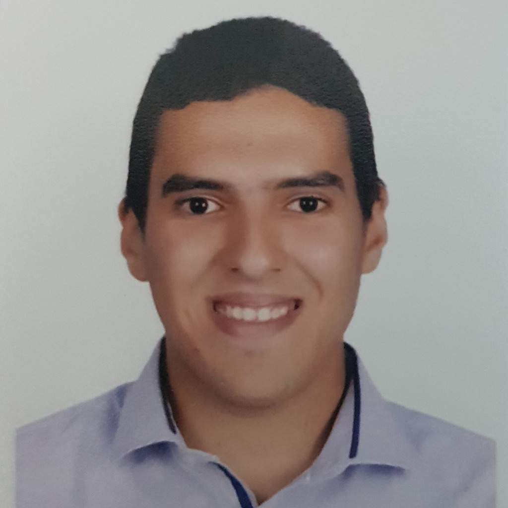 Amr Elsayed - Research Assistant - Bergische Universität Wuppertal | XING