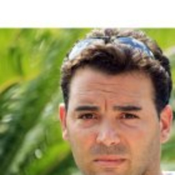 DAVID PAPPALARDO