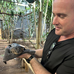 Emonds Gery's profile picture