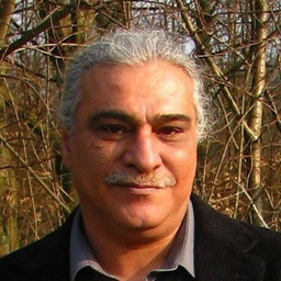 Thomas Petridis