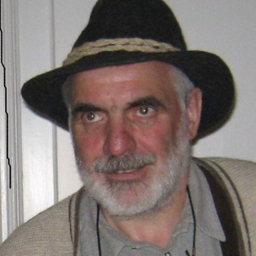 Friedrich Bergmann