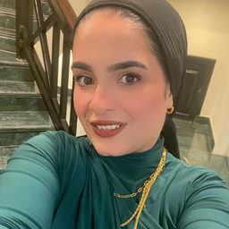 Alaa Elasrag