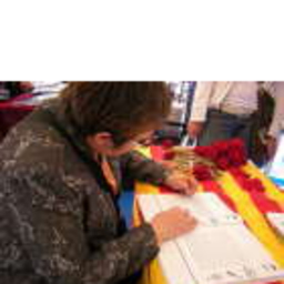 Mercè Vidal