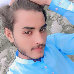hamid Ali