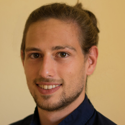 David Stöllinger's profile picture