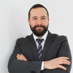 Ing. Roman Mercé Alvaro's profile picture