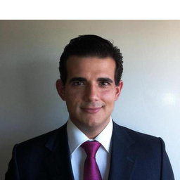 David Guillén Abásolo's profile picture