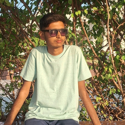 Aryan Parmar