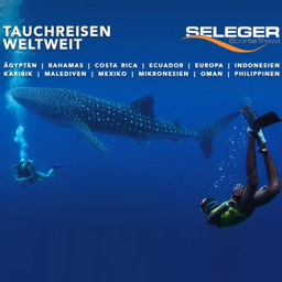 Urs Seleger -  SELEGER SportsTravel - Tauchreisen weltweit