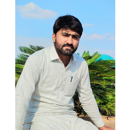 Muhammad Abid