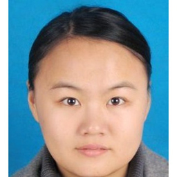 Hui Wang
