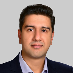 Mohsen Bozorgmehrian