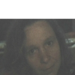 Silvia Elena Moure